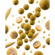 Kulki Zanętowe TB Baits/ Blazek Boilie Corn 20mm 2,5kg