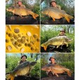 Booster TB Baits/ Blazek Corn 500 ml