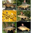 Liquid TB Baits/ Blazek Smoke Corn 100ml 