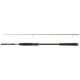 Wędka Daiwa Caldia 2,40m 15-50g