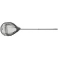 Podbierak Daiwa Prorex Fast Fold Stalker Net L 70x60cm