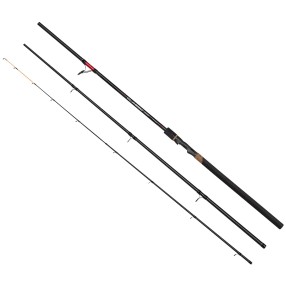 Wędka Brain Classic SE 3,00m 60g