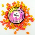 Wafters Osmo Mini Yummy