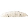 Guma Westin Maggot 4,8cm 2,2g White 8szt Garlic/Cheese Floating