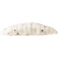 Guma Westin Maggot 4,8cm 2,2g White 8szt Garlic/Cheese Floating