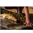 Mata Nash Carp Care Flat Mat Camo 