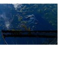 Podbierak Nash Scope Retract Landing Net 42"