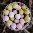 Washed Out Pop Ups Munch Baits - Bio Marine - 14mm