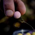 Washed Out Pop Ups Munch Baits - Bio Marine - 14mm