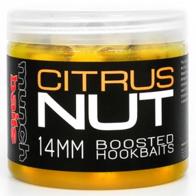 Kulki Haczykowe Boosted Munch Baits - Citrus Nut - 18mm