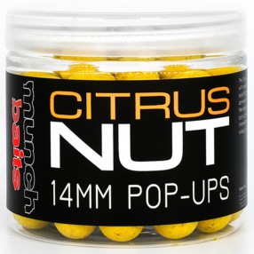 Kulki Pop Ups Munch Baits - Citrus Nut - 14mm