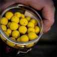 Kulki Pop Ups Munch Baits - Citrus Nut - 14mm