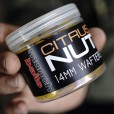 Kulki haczykowe Wafters Munch Baits - Citrus Nut - 18mm