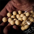 Kulki Pop Ups Munch Baits - Cream Seed 14mm 