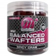Wafters Mainline High Impact Balanced Spicy Crab 18mm