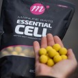 Kulki Mainline Shelf Life Boilies Essential Cell 20mm 1kg