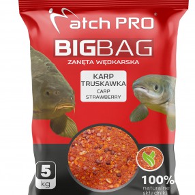 Zanęta MatchPro Big Bag Karp Truskawka 5kg