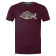 Koszulka Korda Outline Tee Burgundy - S