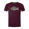 Koszulka Korda Outline Tee Burgundy - M