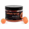 Kulki CC Moore Nothern Special Ns1 Pop Ups Orange 18mm