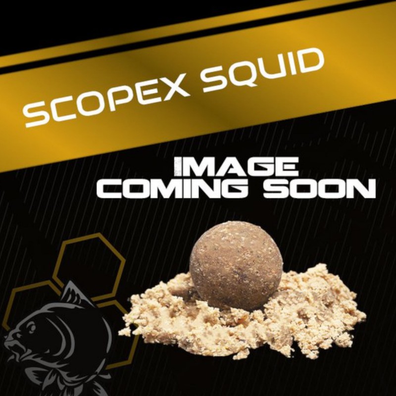 Płatki Nash Scopex Squid Flake 1kg