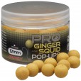 Kulki Starbaits Pro Ginger Squid Pop Up 12mm 50g