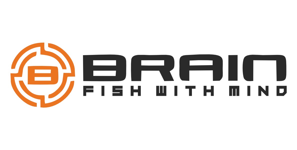 Brain