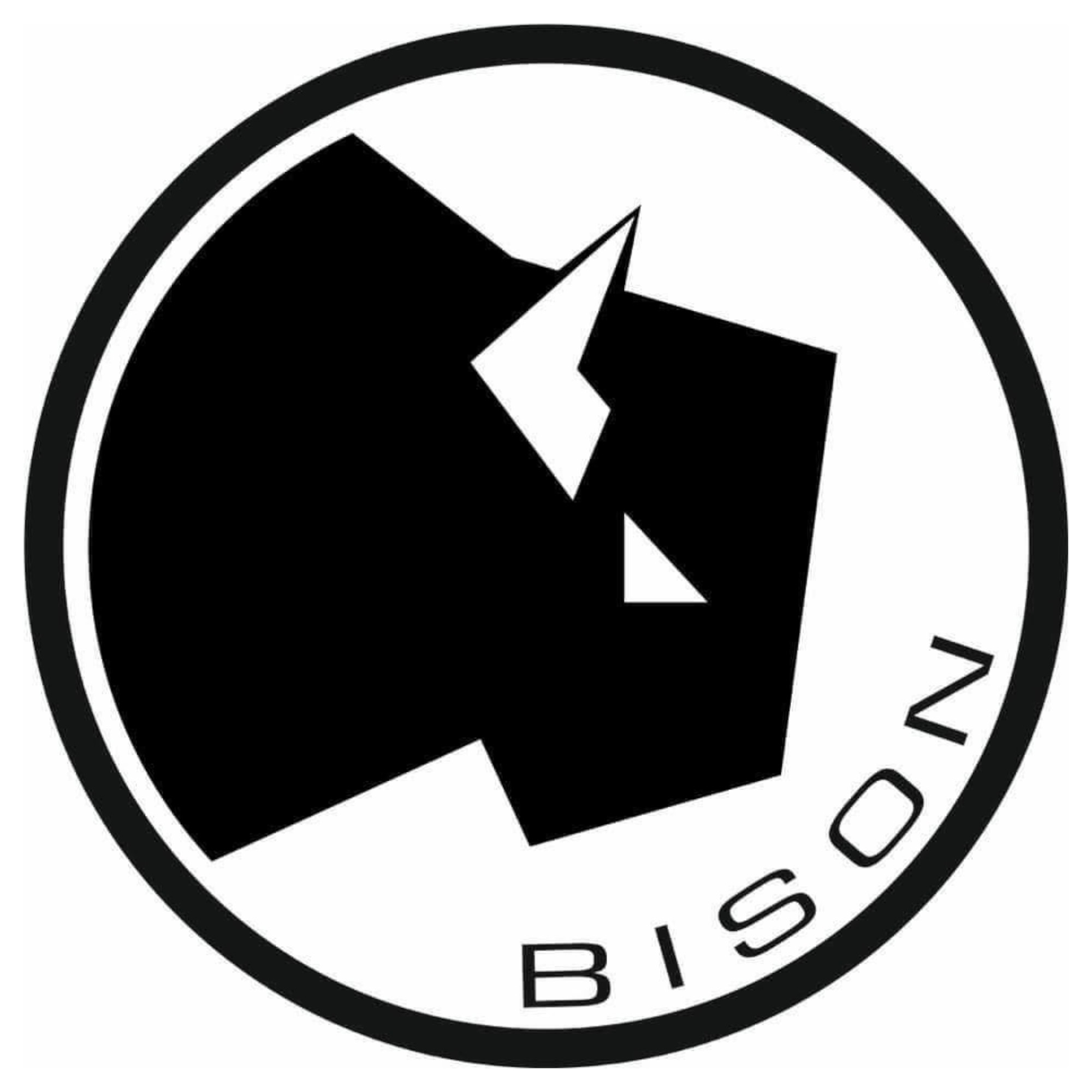 Bison Fishing